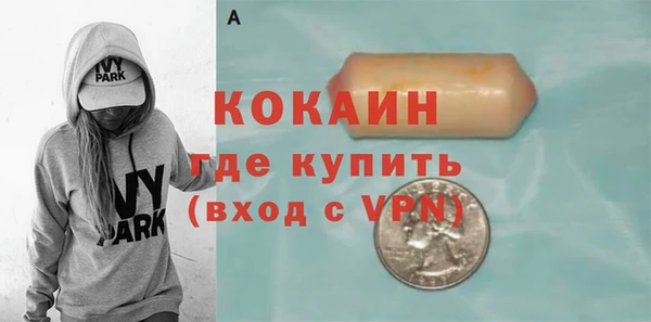 индика Майский