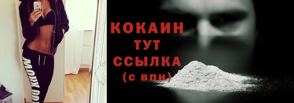 амф Ладушкин