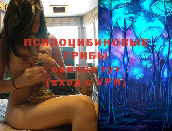 индика Майский