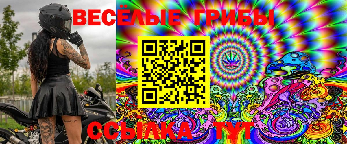 Мелеуз  Галлюциногенные грибы Cubensis  Псилоцибиновые грибы MAGIC MUSHROOMS  Вход с VPN 